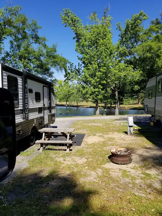 Florence RV Park Picture 3