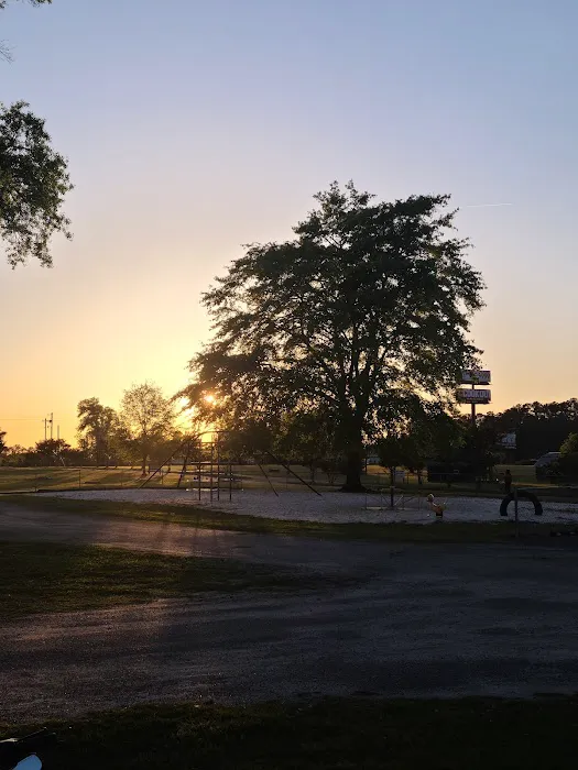 Florence RV Park Picture 6