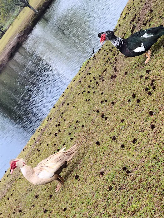 Florence RV Park Picture 7