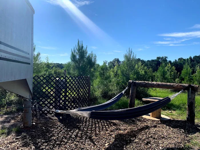 Glamping at Laurel Oaks Picture 8