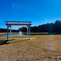 Glamping at Laurel Oaks ico