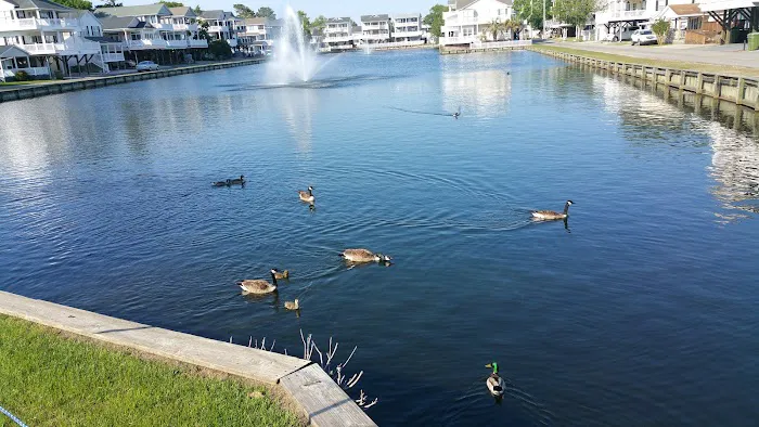 The Jackson Companies Picture 2