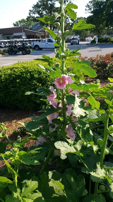 The Jackson Companies Picture 3