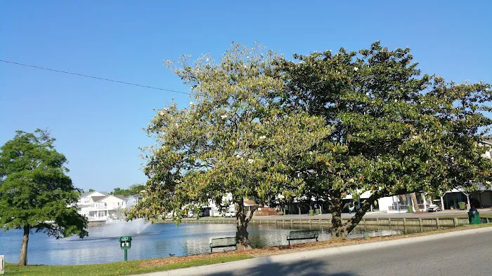 The Jackson Companies Picture 8