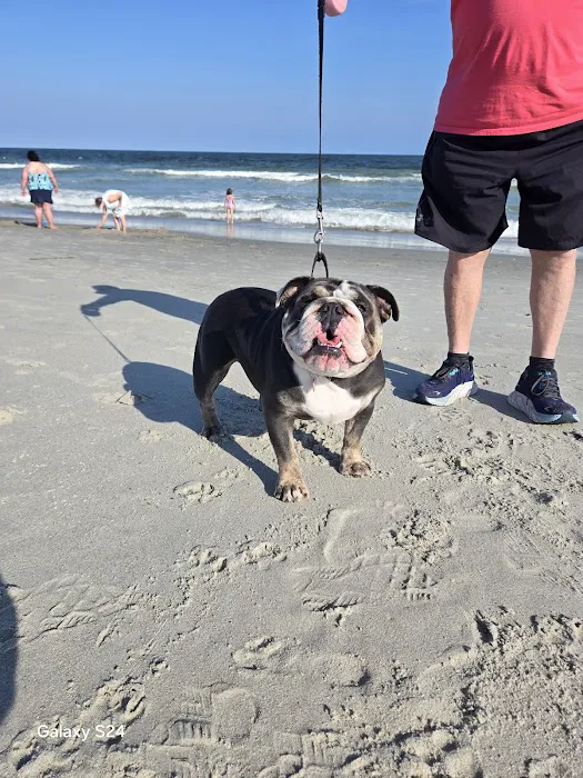 Ocean lake Picture 6