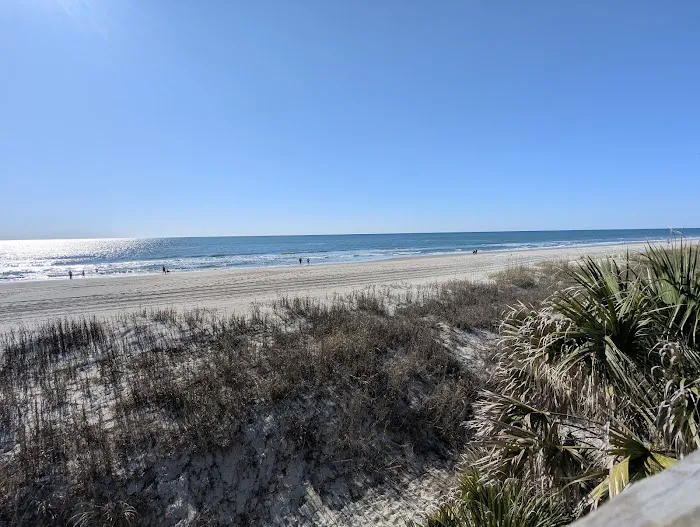 Ocean lake Picture 5