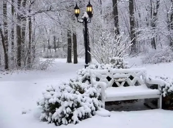 Lake Chemung Outdoor Resort Picture 9