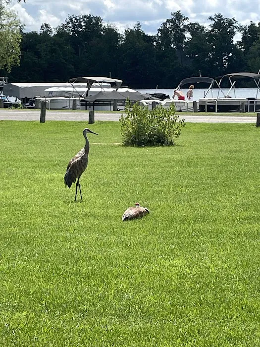 White Lake Campground Picture 5