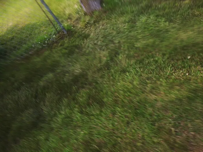 White Lake Campground Picture 2