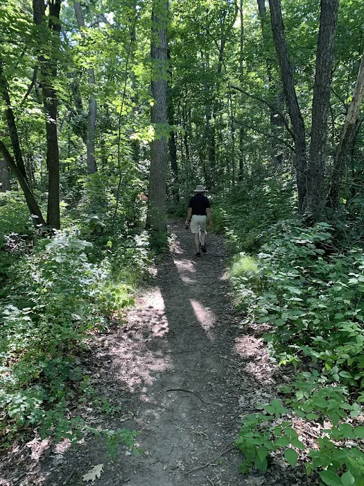 Pontiac Lake State Recreation Area Campground Picture 2