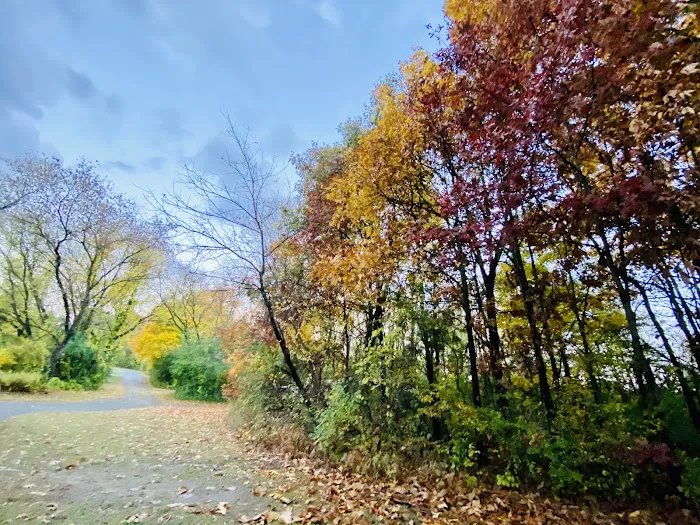 Pontiac Lake State Recreation Area Campground Picture 7