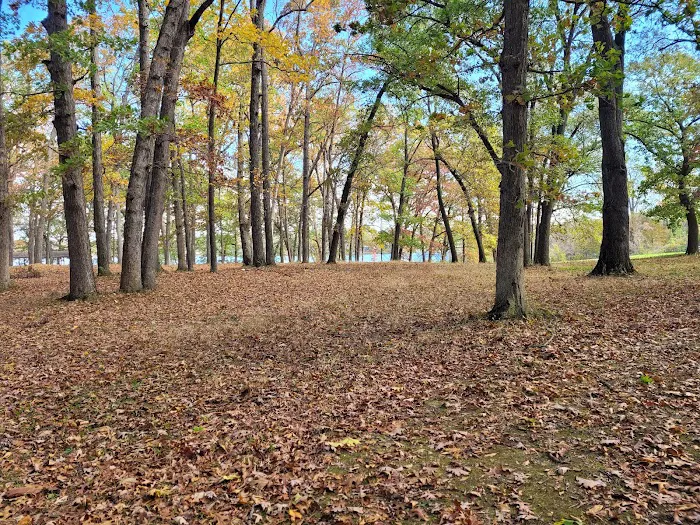 Portage Lake Campground Picture 4