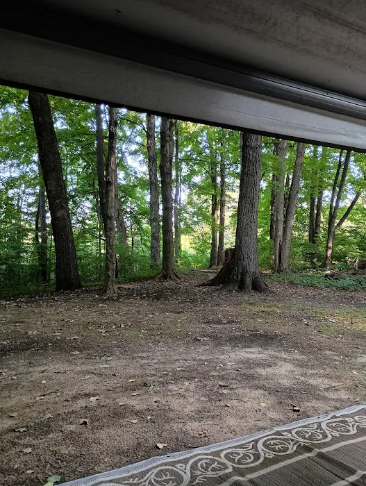 Portage Lake Campground, Waterloo Recreation Area Picture 9