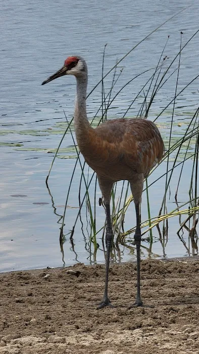 4 Lakes Campground Picture 3