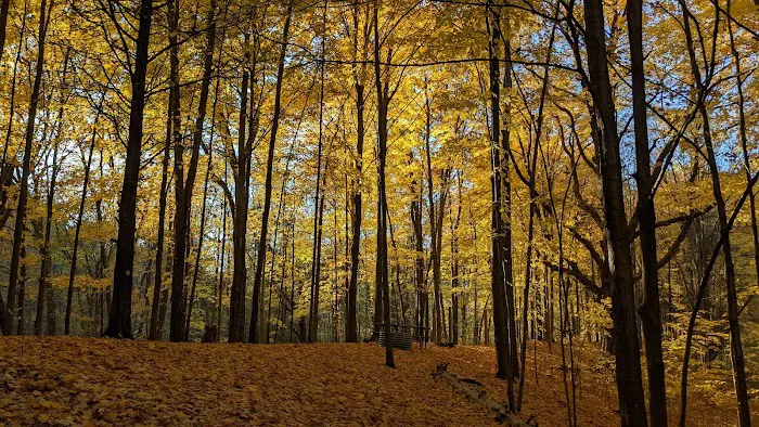 Blind Lake Campground Picture 9