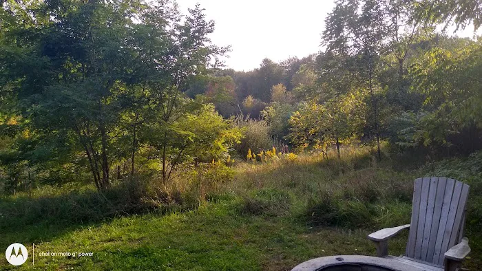 Bruin Lake Yurt Picture 10