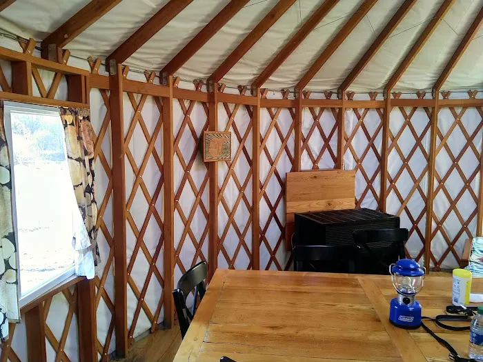 Bruin Lake Yurt Picture 3