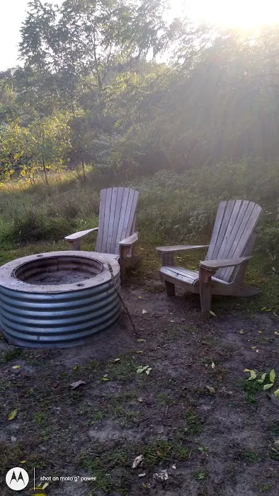 Bruin Lake Yurt Picture 5
