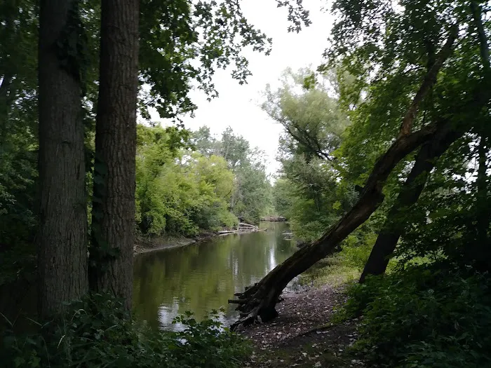 Robinhood of Sherwood Forest Picture 7
