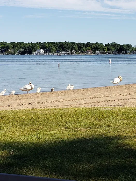 Public Beach And Playground Picture 5
