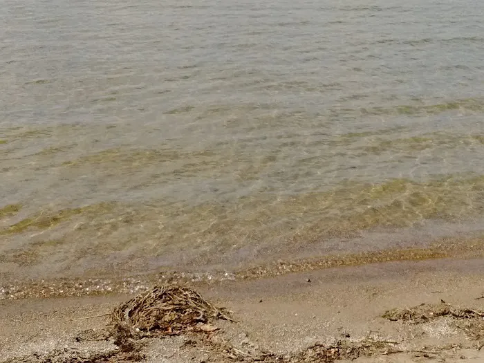 Public Beach And Playground Picture 1