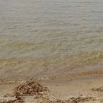 Public Beach And Playground