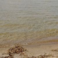 Public Beach And Playground ico