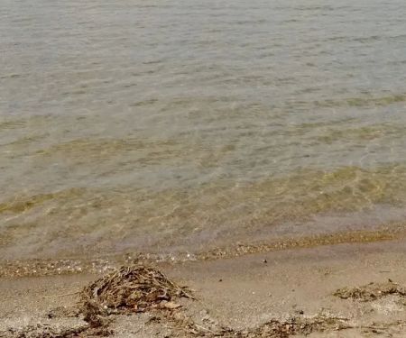 Public Beach And Playground