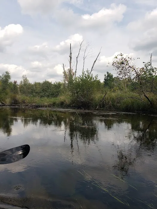 Twin Pine Campground & Canoe Picture 4