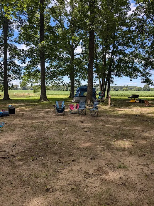 Twin Pine Campground & Canoe Picture 5