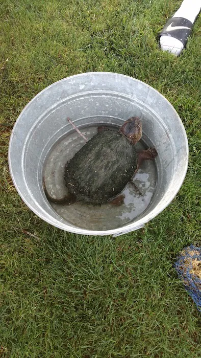 Green Acres Campground Picture 3