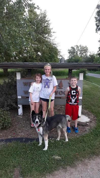 Walden Woods Campground Picture 5