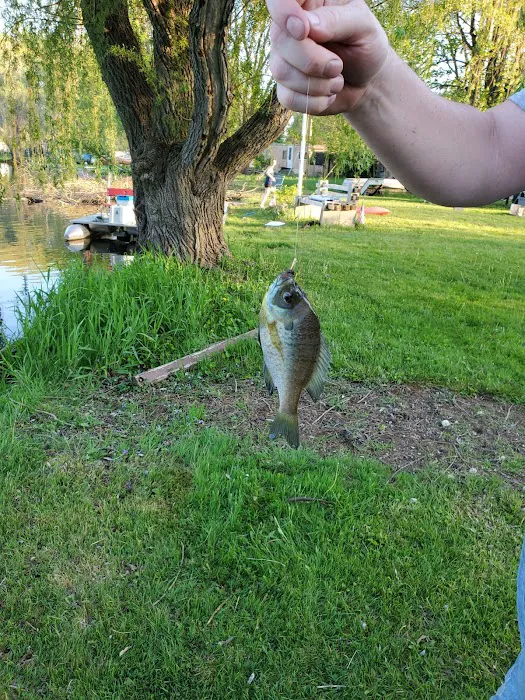 Walden Woods Campground Picture 7