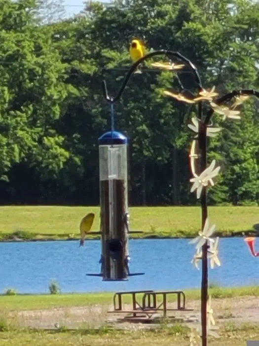 Golden Rule Campground Picture 2