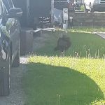 Arrowhead Campground