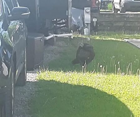 Arrowhead Campground