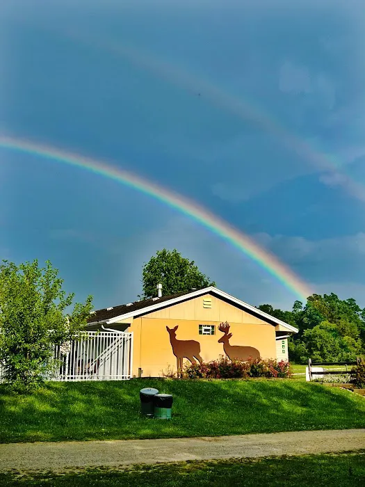 Deer Ridge Camping Resort Picture 3