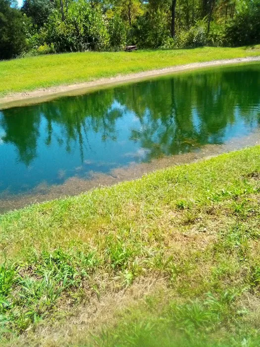 Archway Campground Picture 5