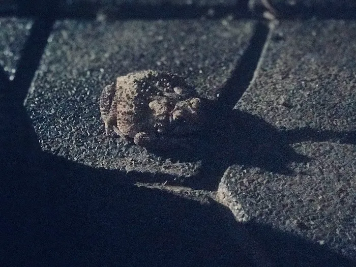 Cross's Campground Picture 3