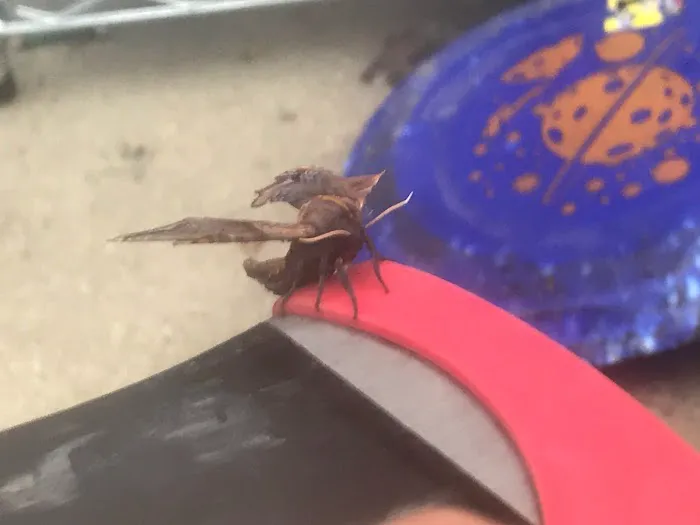 Cross's Campground Picture 2