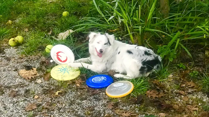 Cross's Campground Picture 10