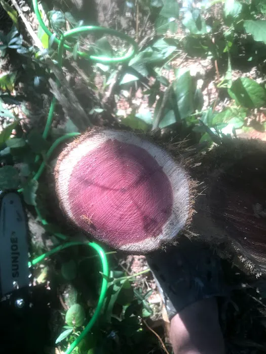 Cross's Campground Picture 9