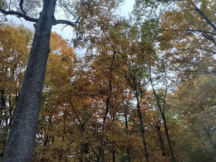 Deer Run Property Owners Association Picture 6