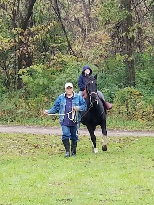 Hueston Woods State Park Horse Camp Picture 6