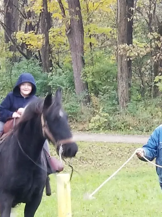 Hueston Woods State Park Horse Camp Picture 1