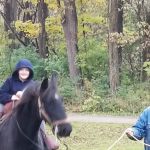 Hueston Woods State Park Horse Camp