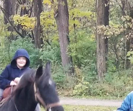 Hueston Woods State Park Horse Camp