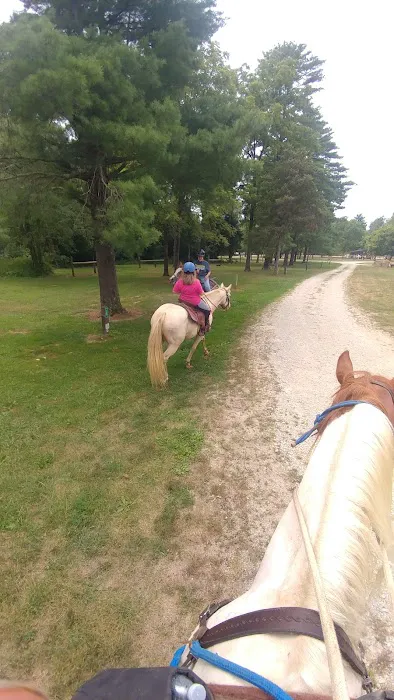 Hueston Woods State Park Horse Camp Picture 8