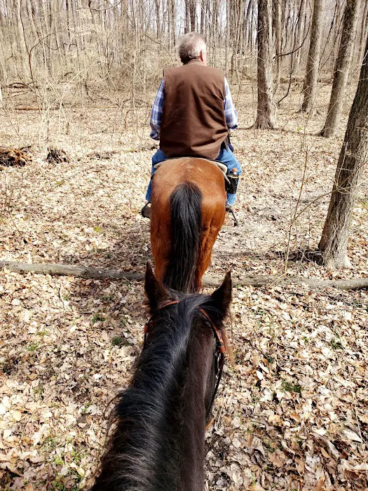 Hueston Woods State Park Horse Camp Picture 9