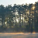 Winton Woods Campground